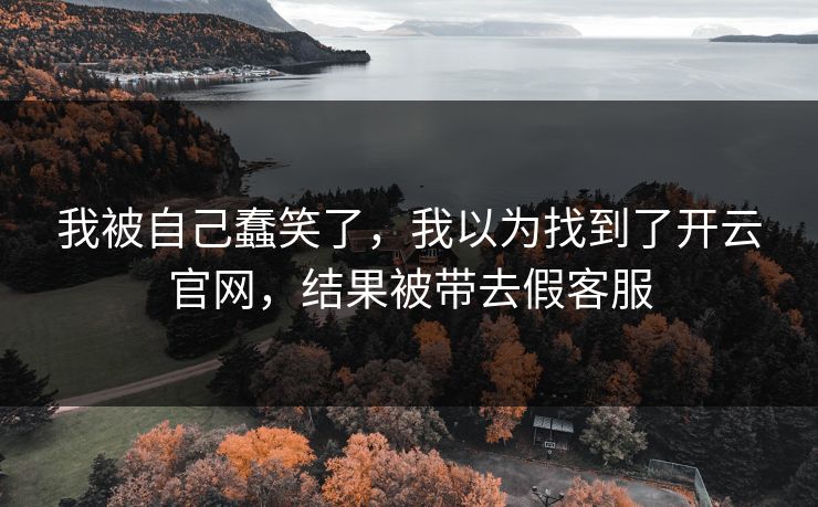 我被自己蠢笑了，我以为找到了开云官网，结果被带去假客服