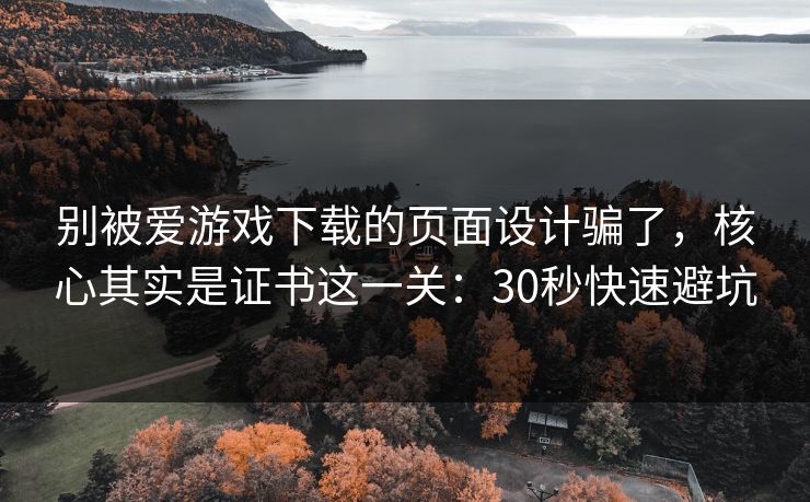 别被爱游戏下载的页面设计骗了，核心其实是证书这一关：30秒快速避坑