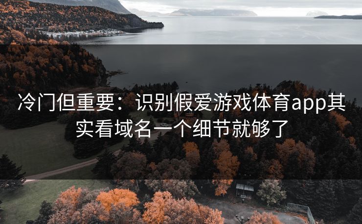 冷门但重要：识别假爱游戏体育app其实看域名一个细节就够了