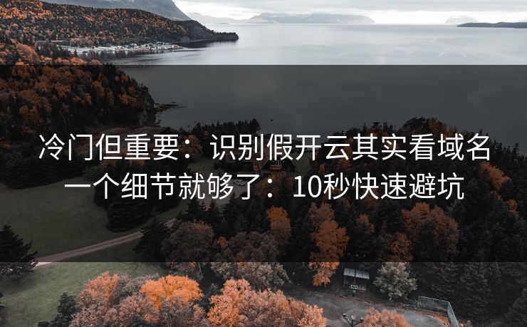 冷门但重要：识别假开云其实看域名一个细节就够了：10秒快速避坑